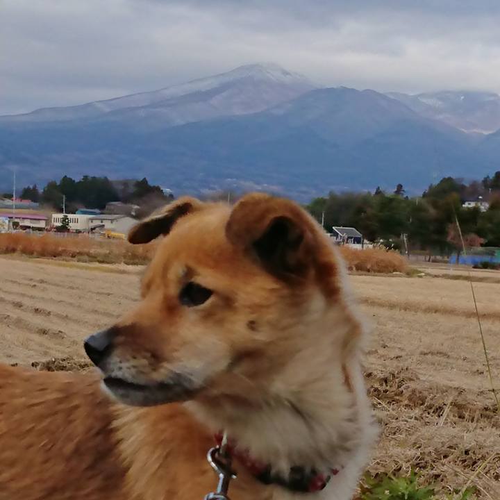 22a92ab0 c161 4e7e b267 83f49150aaf8 1579426845605