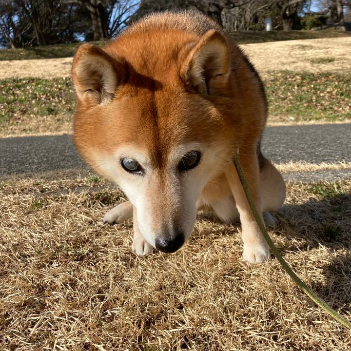 22a9368e 3802 4d2e 94df c46cb4af44f2 1675231788620