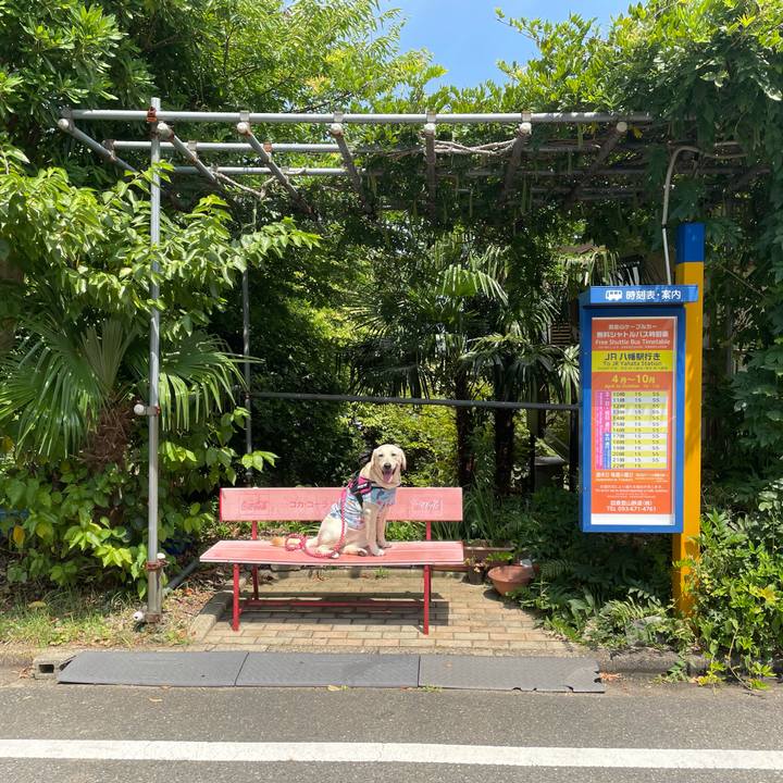 22a94636 2e12 44bf a0fa 46f114ac181e 1627549694100