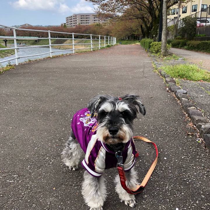 22a95f78 9752 4793 8568 bdd1cca923ca 1650116554315