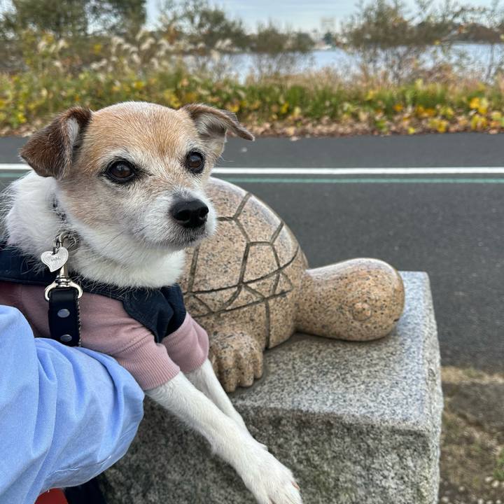 22a99699 a266 4254 8137 6f0335b0277d 1670131009491