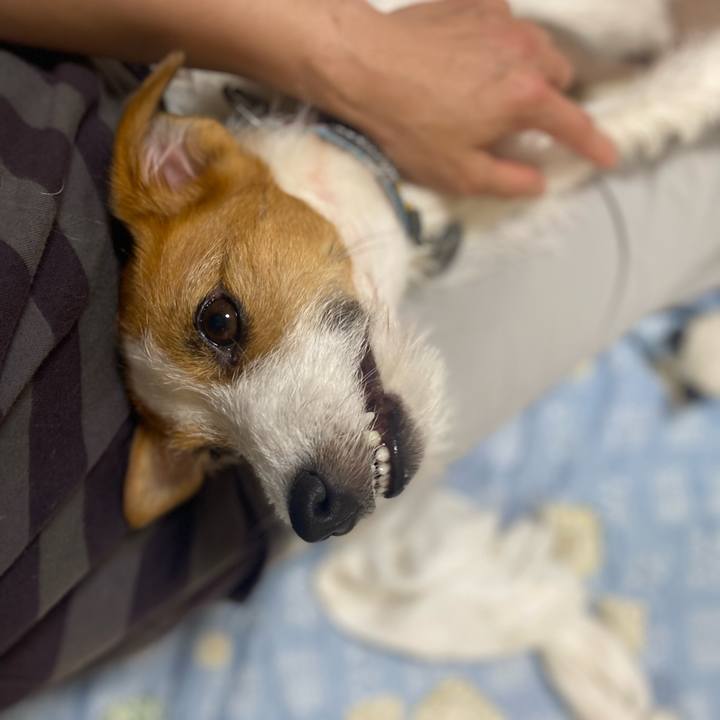 22a9af81 1a5a 45d1 a0e4 c3195f0c887a 1749557560802