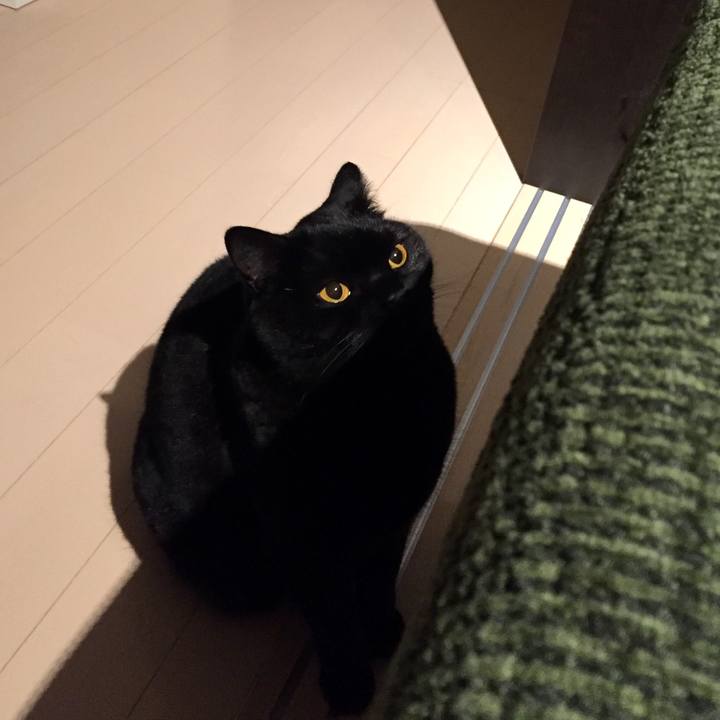 22a9b6d1 4094 4e3b b20b 5da412f643c2 1583154160791