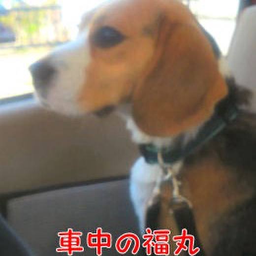 22a9c204 ccad 4a02 ad1a 2228385f0b23 1712017458753