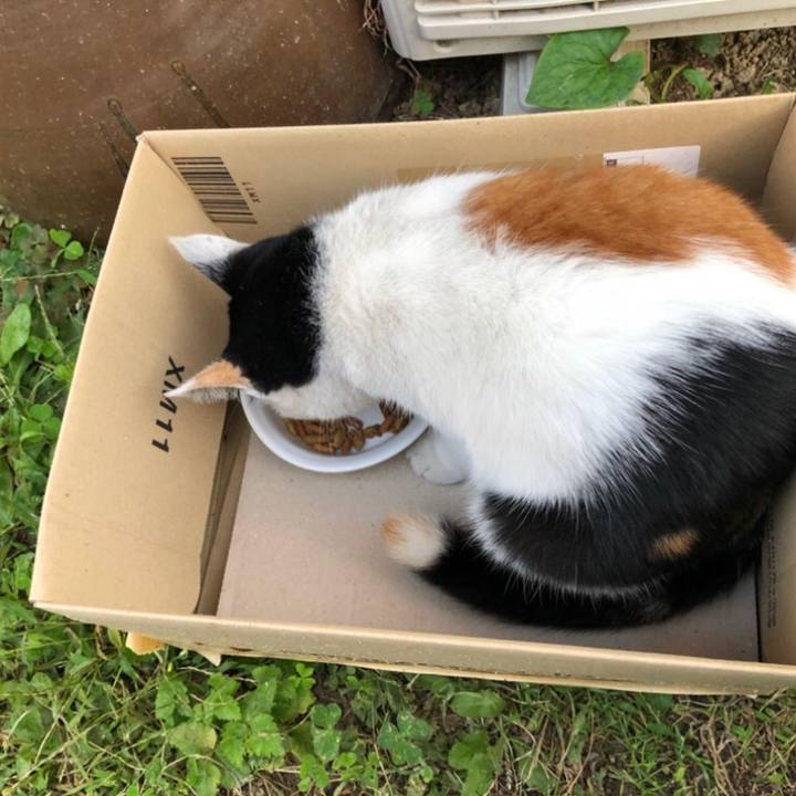 22a9c91b 15f8 407d 8362 63374c7f0c68 1604323367529