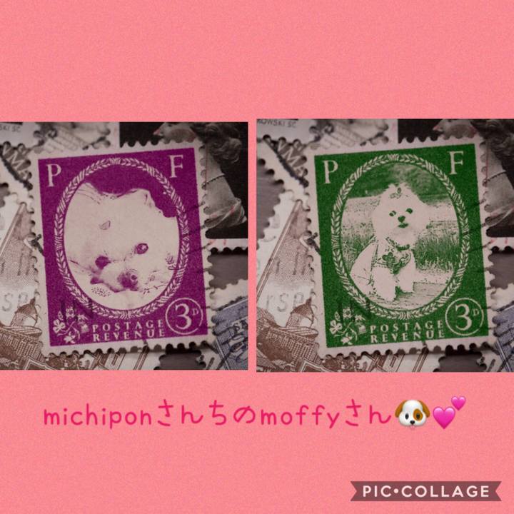 22a9cc4e 20f3 49f1 acbd 7ee0c6469c74 1570072203600