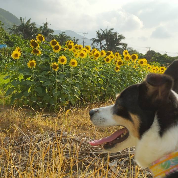 22a9e932 224e 401c ab6a 92b16f0d1de8 1713877155852