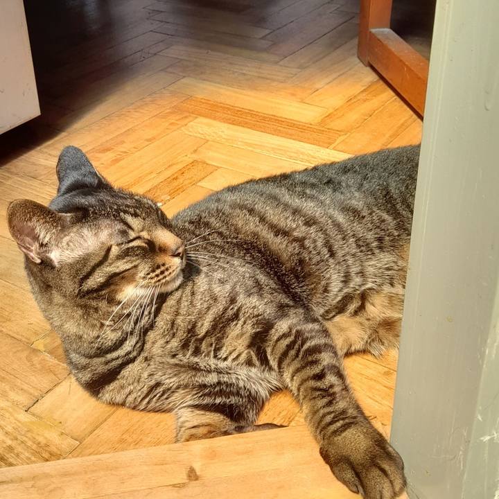 22a9e9ca 3990 4fab a3fb a6782ba2cbbb 1759284789143