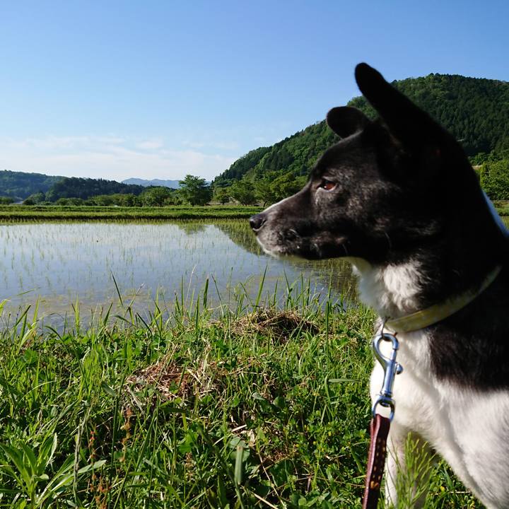 22a9f775 5cd5 4f6b bfb3 af4133b313b0 1526945538423