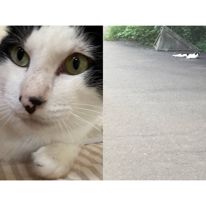 22a9fe12 8eca 458f 91b0 1d7ad0a7769b 1661294186225