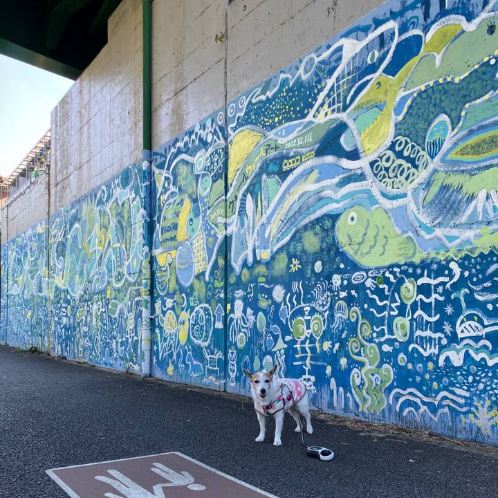 22aa0a7b e518 4d66 a3f2 ab29d0164f5e 1730845329901