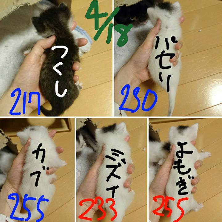 22aa29ab d8fc 4bba a961 52a5faaa3ba3 1587317770839