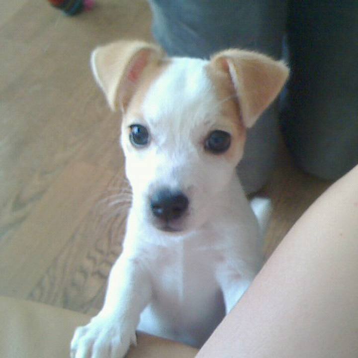 22aa4d0a e65c 4c04 8949 a9bbeb48c7a1 1542335171765