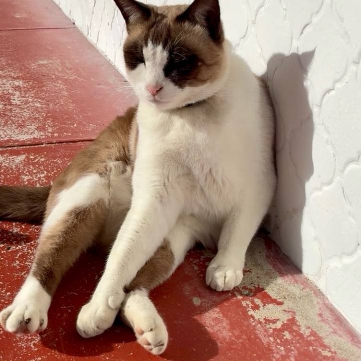 22aa5843 06e2 4e3e 93ea 756481aa9251 1766497097142