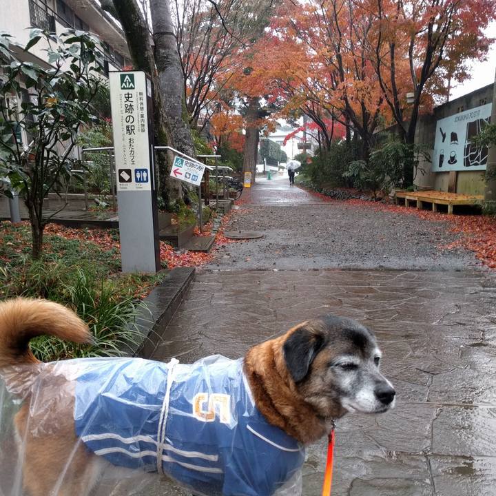 22aaaf93 9633 43ca 8ea9 2fb2db84e588 1545008114390