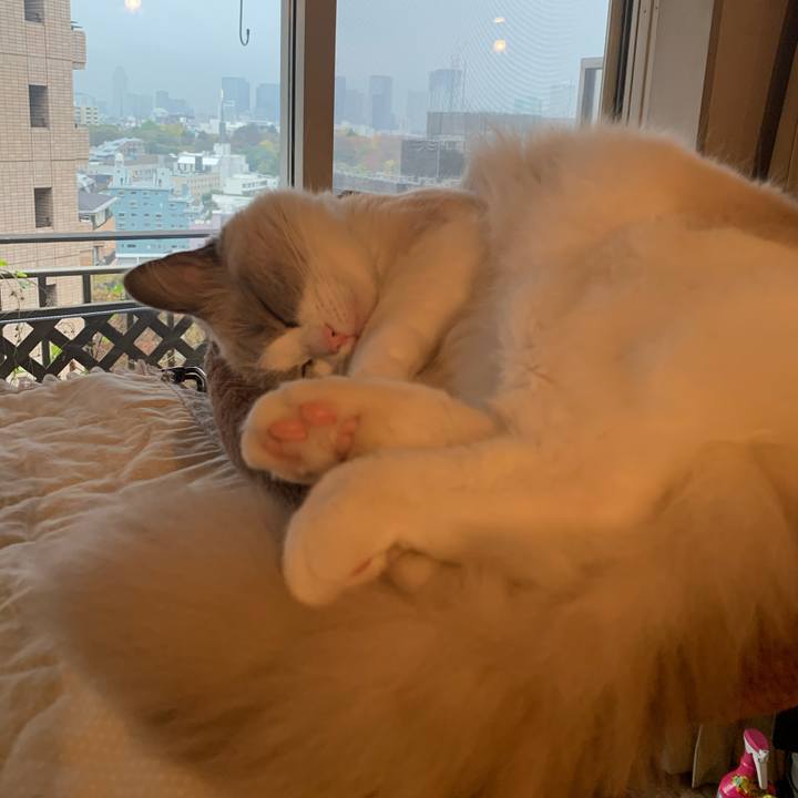 22ab2171 d6e0 433c a515 839f810a08c4 1637560478025