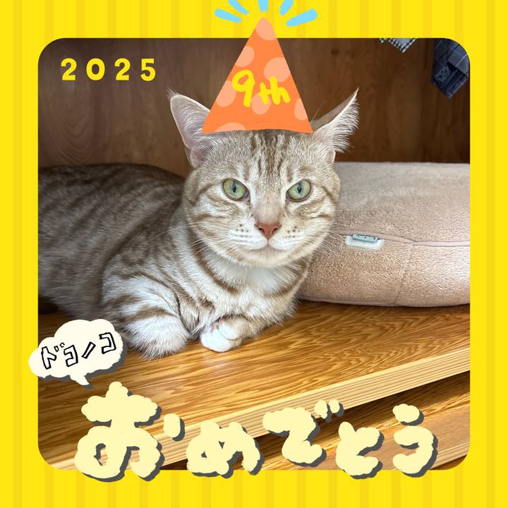 22ab2843 106f 45b6 b976 fb0d8787abf7 1749120622290