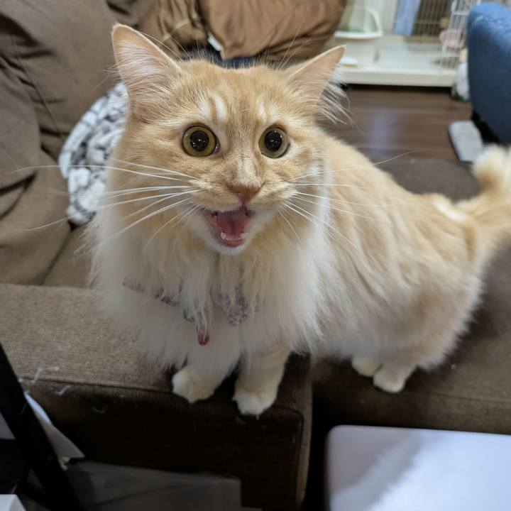 22ab8806 5e18 45ef 9b1f 296d01e6fe66 1749895518244