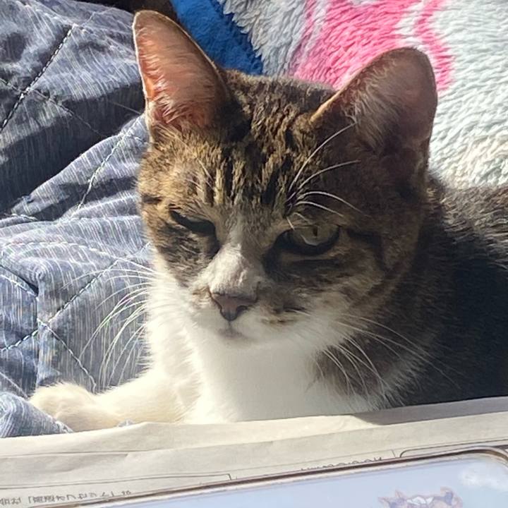 22ab8cb1 805c 4dc2 90f1 d5c3f1d379a4 1697849367715