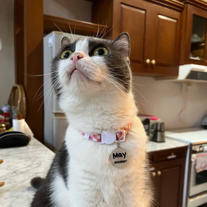 22abc478 e28b 4d83 a603 b76ed0282f1a 1767761124291