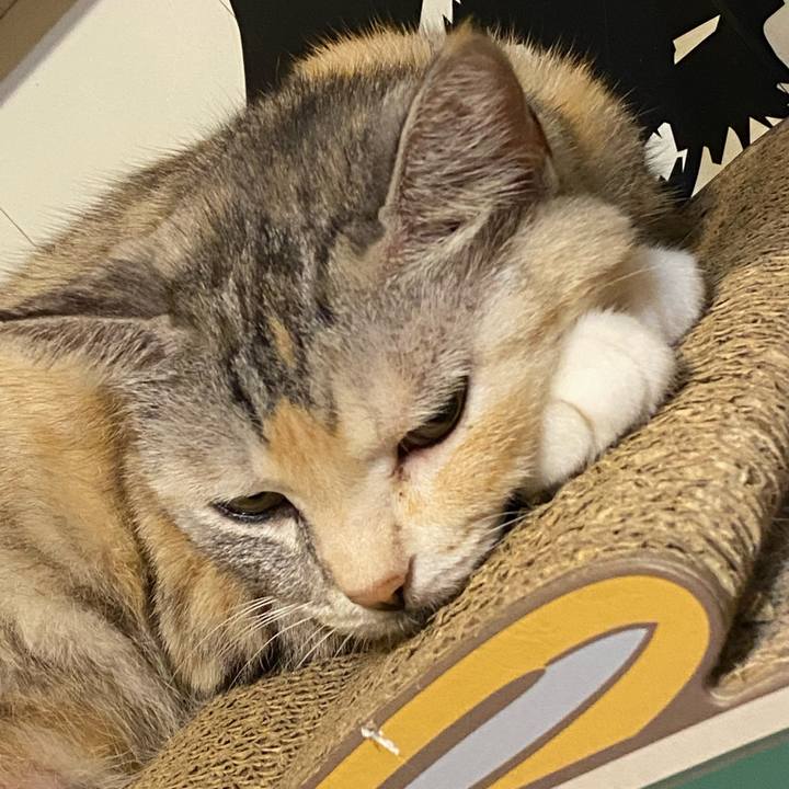 22abd7b2 0dcc 46b9 a124 87ee9705ecb1 1633014526574