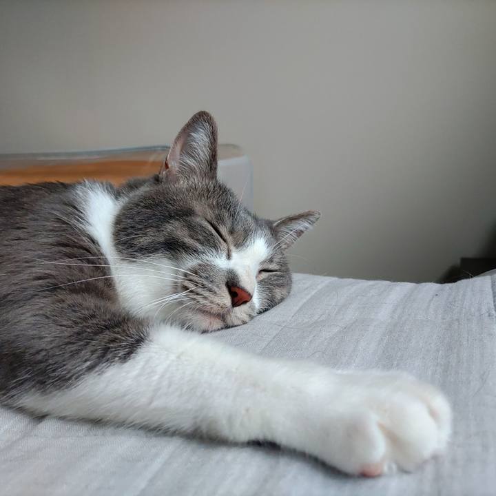 22abe7a5 5339 45ec 9f67 75737231353b 1661644326112