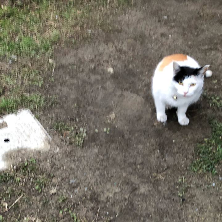 22abf9c6 7e34 4ada bbaa 5dd517d16b19 1612304644028