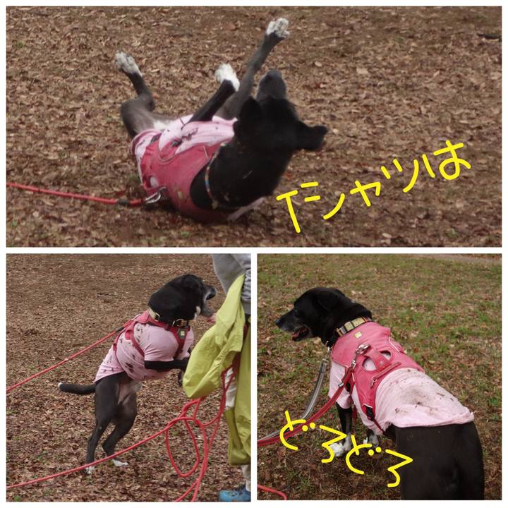 22ac33c5 ca5f 4aad b8fa 8a00e2dcfeaa 1702256343005