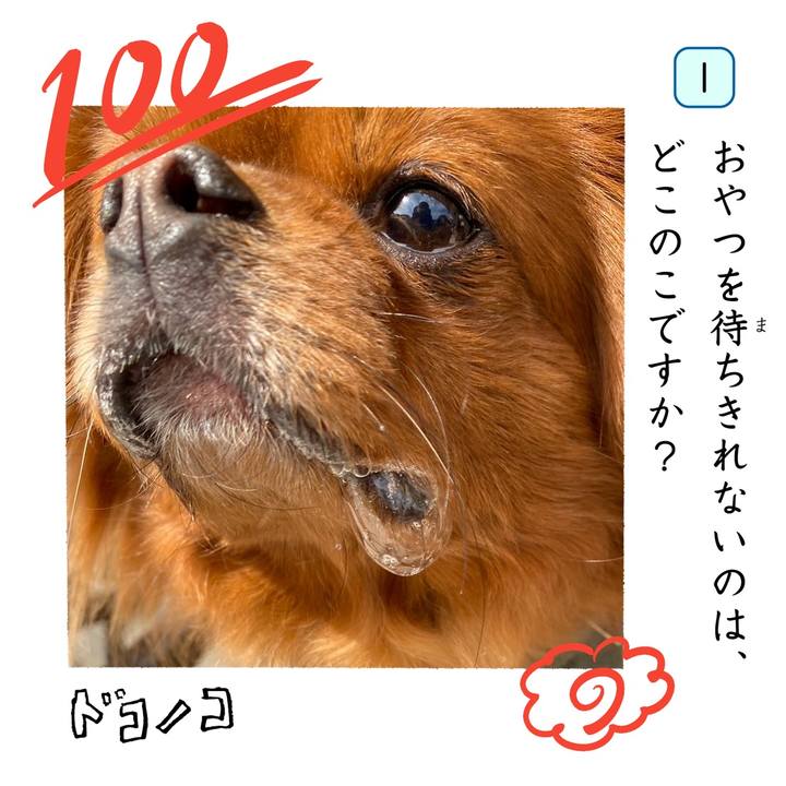 22ac4631 5e3b 4a14 9960 9464b6ccc82a 1744276611470