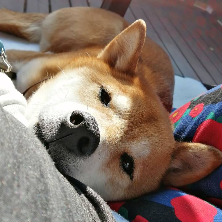 22ac4dcc 5c27 401b 87d2 89a9317ddd01 1676641203863