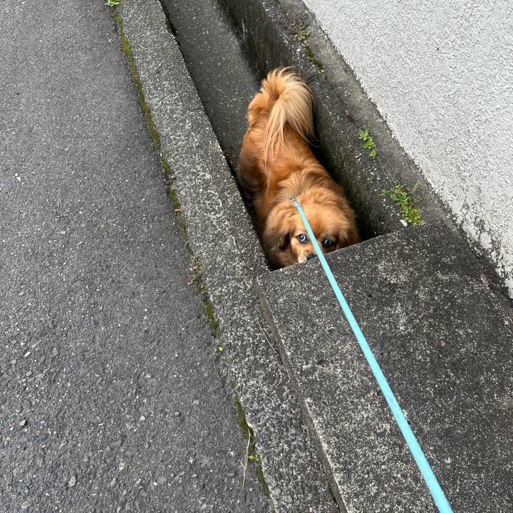 22ac551d 97f2 462b 9e41 dc871b8b7082 1683580425553