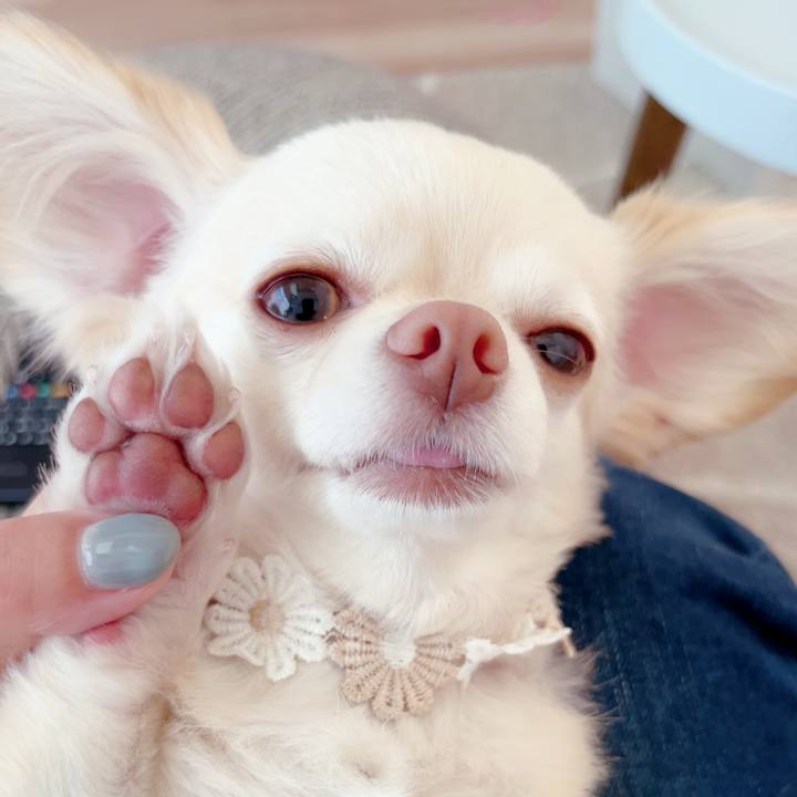 22ac77e7 ed6d 45ef b228 7aa25afb2ee0 1687163754050