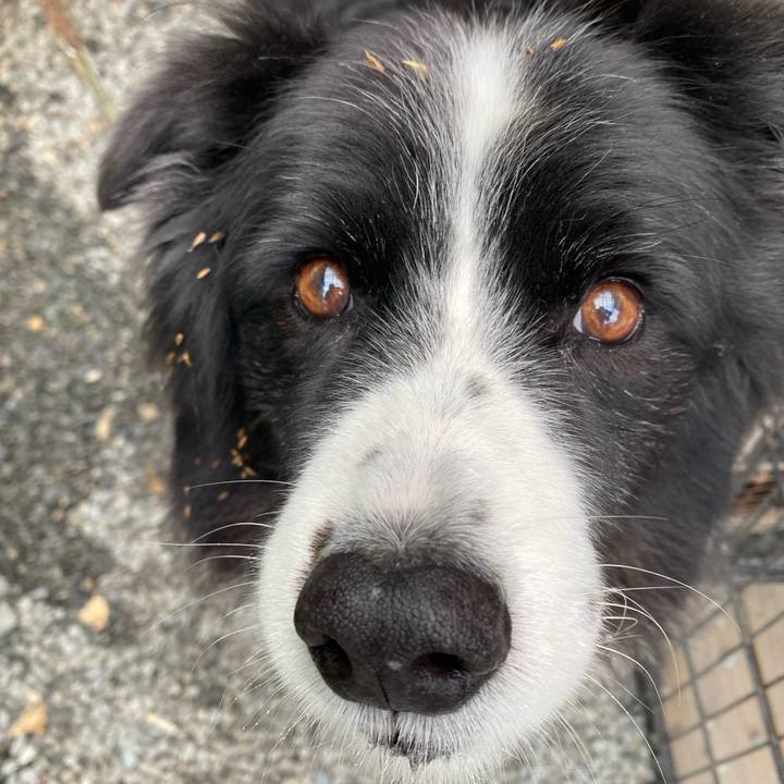 22ac99f2 4869 4cb3 a91c 492fdc80fb17 1670717397371