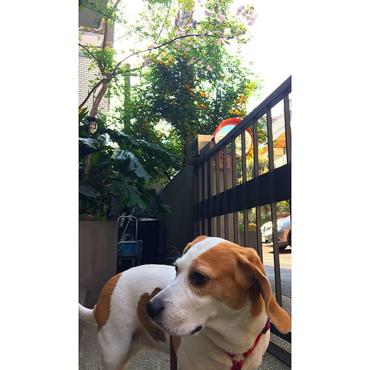 22acb8e3 fdf2 42b8 bfba dc6a298e9a9f 1522313838355