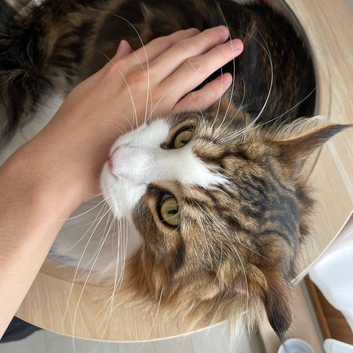 22acee56 7c41 4c35 b612 620c16da9d4b 1658627401611