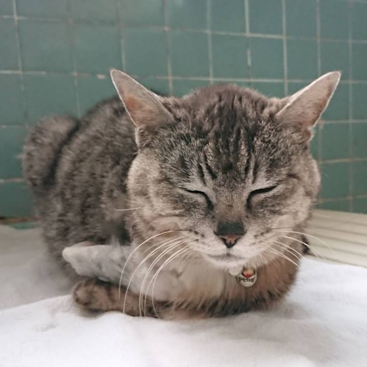 22ad0518 2964 4e6b 92a7 d4c2b4f1560c 1590572148298