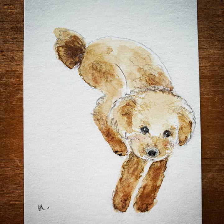 22ad50dc c1bc 45e3 8cd5 8eb393fa98b7 1610248089422