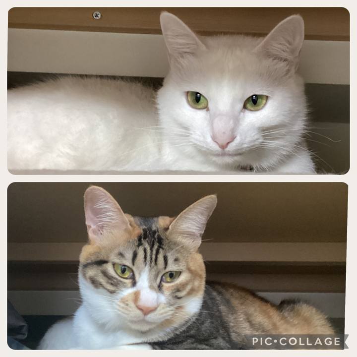 22ad7792 e78b 426b 8a14 bfb540542a70 1672872318933