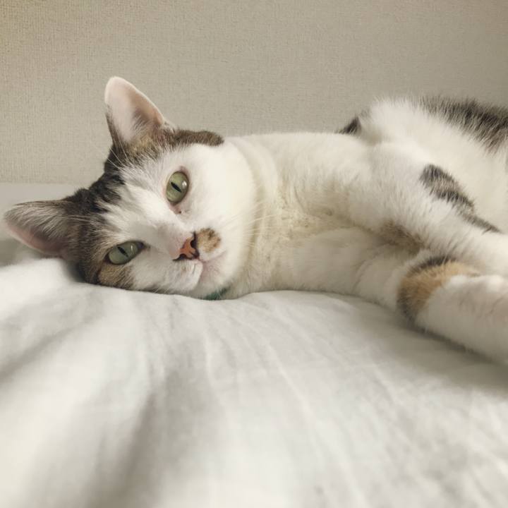 22adbc87 78a3 4153 ac03 26919a213fd1 1537149631856