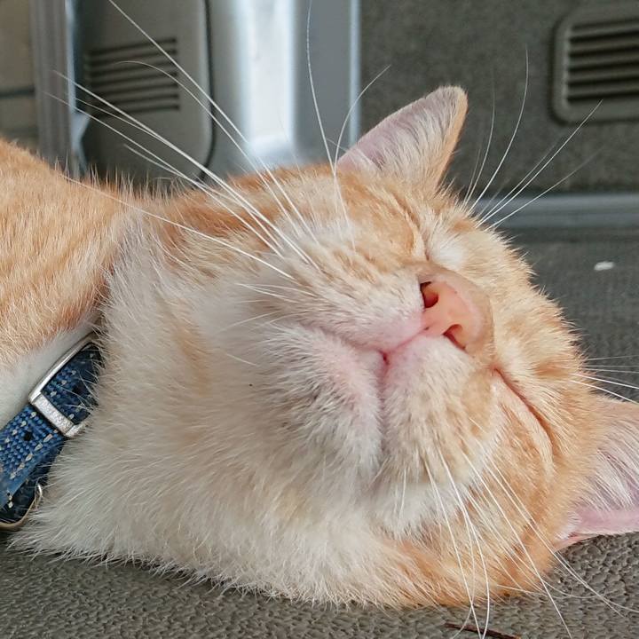 22adec69 9fb0 4250 aa5d a0c7965a2435 1565730243812