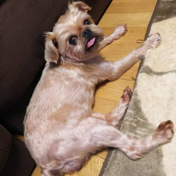 22ae2377 9dfa 438e bb24 4dad929010c0 1534918332934