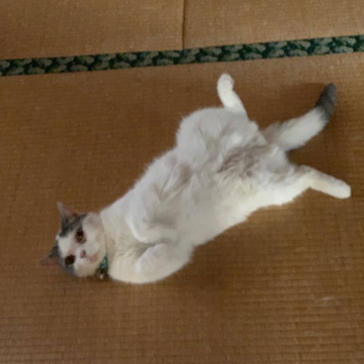 22ae2ccf 40a5 4c63 8114 0cc93417ddb1 1662251280346