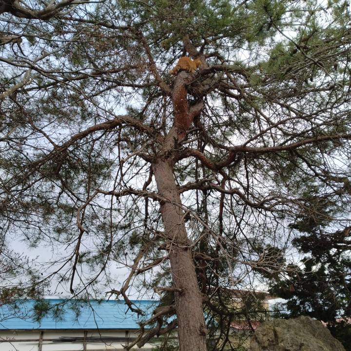 22ae3e21 305c 47d6 8b53 f8c01654054a 1680906821839