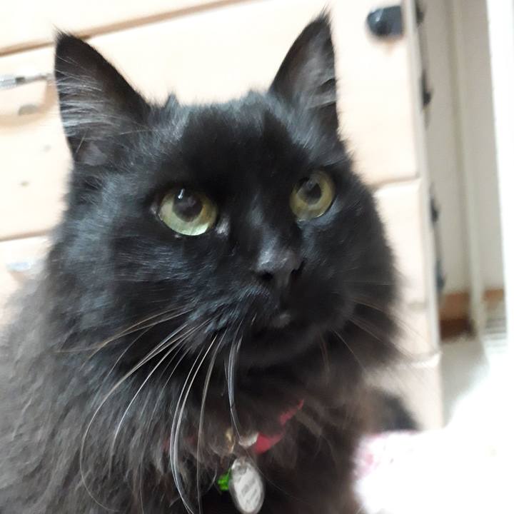 22ae5856 9451 4dc0 bd6b 8d9a5a7d4117 1524315972096