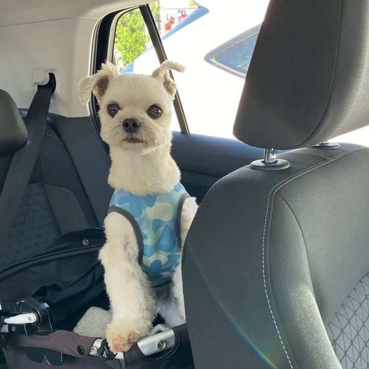 22ae64bc 26a8 47ff a3d3 951b4841501c 1652450432337