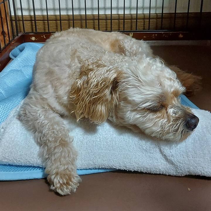 22ae7c03 077f 485b 875a a17a14b5b9c0 1625634495033