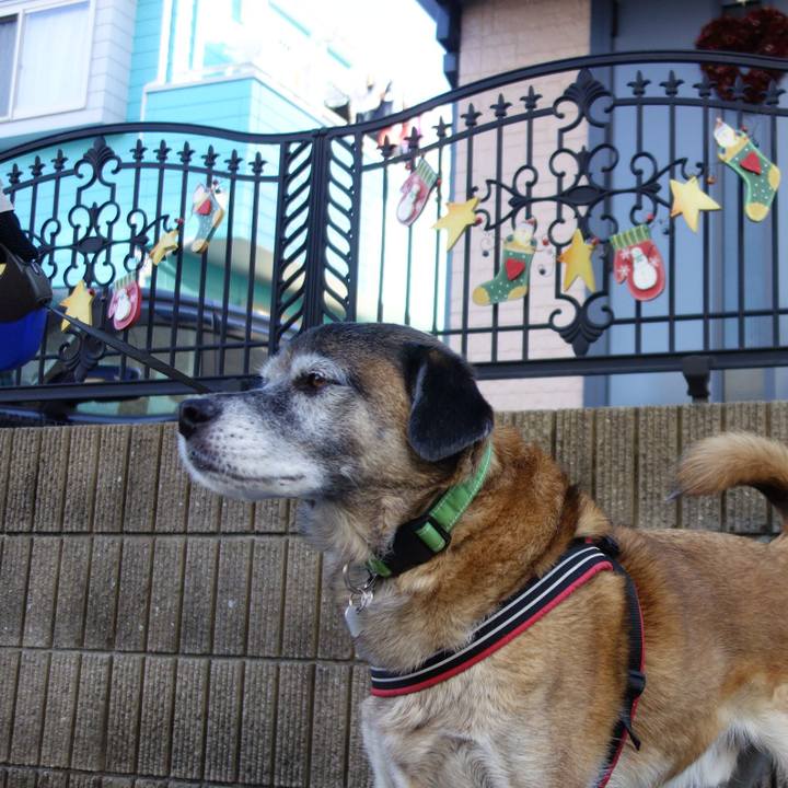 22ae8c27 ffaf 4dd1 aec1 59d2cfcb230f 1545358872215