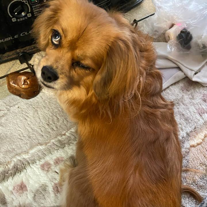 22ae9577 7255 43d2 a61d 5fc3768355a9 1607466119544