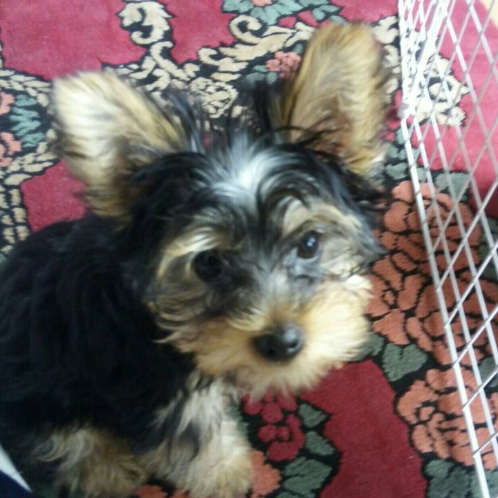 22ae9931 4767 4041 9b07 ed49081512bb 1530938204241