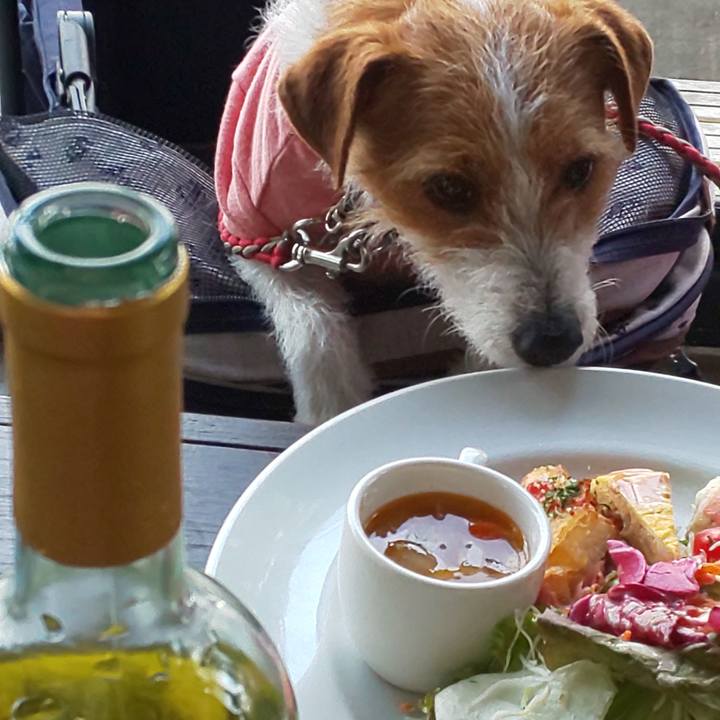 22aec583 270b 47fe 9e48 a9609b104582 1554018703905